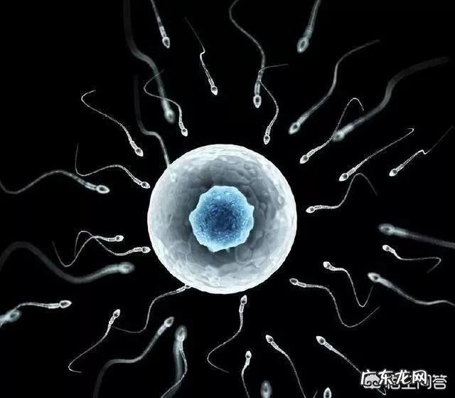 怀孕10天最明显的征兆是什么?