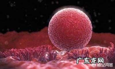 怀孕10天最明显的征兆是什么?