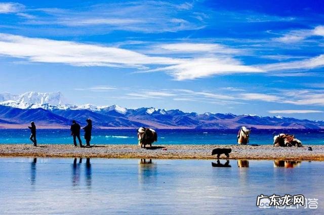 想去西藏，又怕高原反应，我不知道自己会不会有高原反应，怎么办？