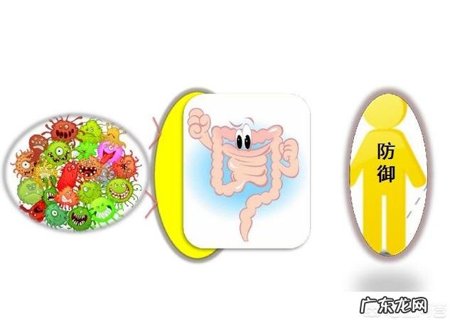 宝宝喝奶粉后开始便秘了,怎么回事啊?