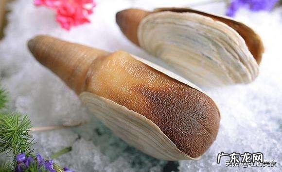 象拔蚌的功效与吃法分别是什么?