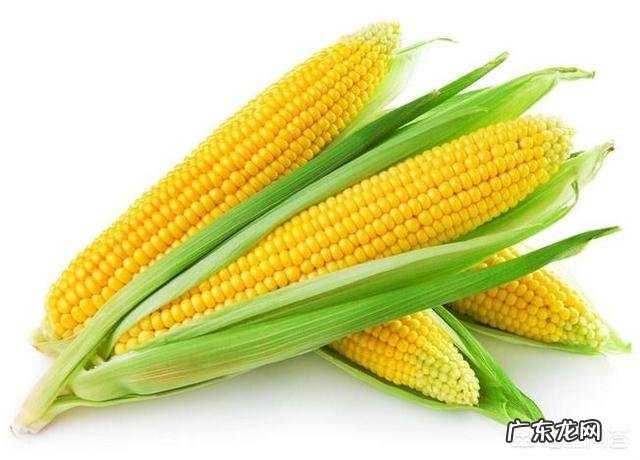 吃什么可以提高免疫力和抵抗力?可以吃蛋白粉吗?