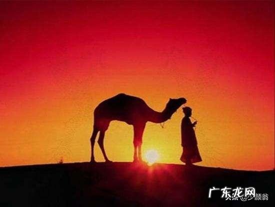 为什么古代中国出产丝绸，古代西方却不能出产？西方不养蚕吗？