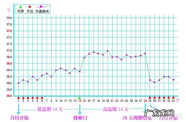 排卵期跟排卵日是什么意思?