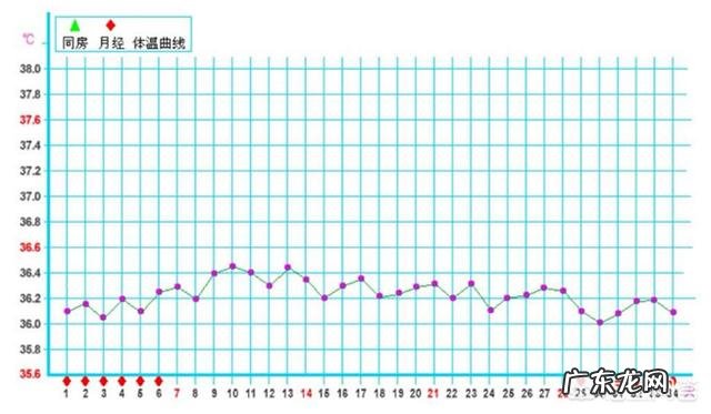 排卵期跟排卵日是什么意思?