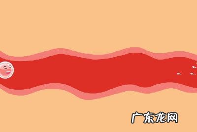 排卵期跟排卵日是什么意思?