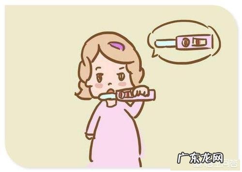 排卵期跟排卵日是什么意思?