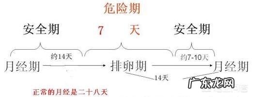排卵期跟排卵日是什么意思?