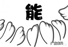 左旋肉碱真的有用吗，有没有副作用？