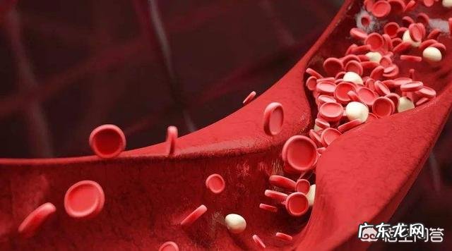 醋泡黑豆有哪些功效?