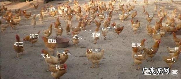 春节习俗有哪些？