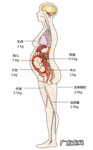 怀孕期体重应增加多少才是最适合的?
