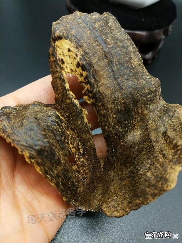 哪个沉香产地好？