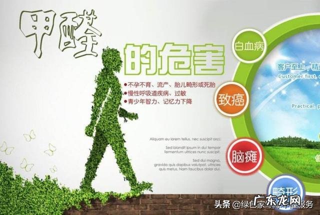 甲醛危害这么严重，有什么解决办法呢？