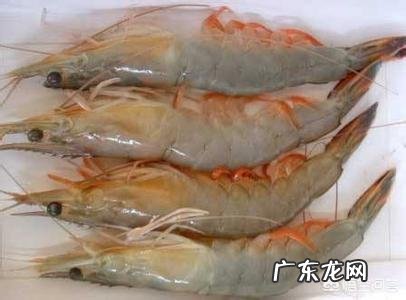早起地笼上来二斤大对虾,怎么做好吃?