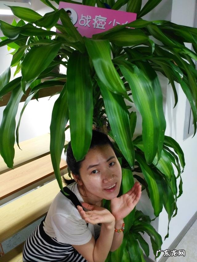 眉粉、眉笔、染眉膏哪一个更适合刚学画眉妆的手残妹子?