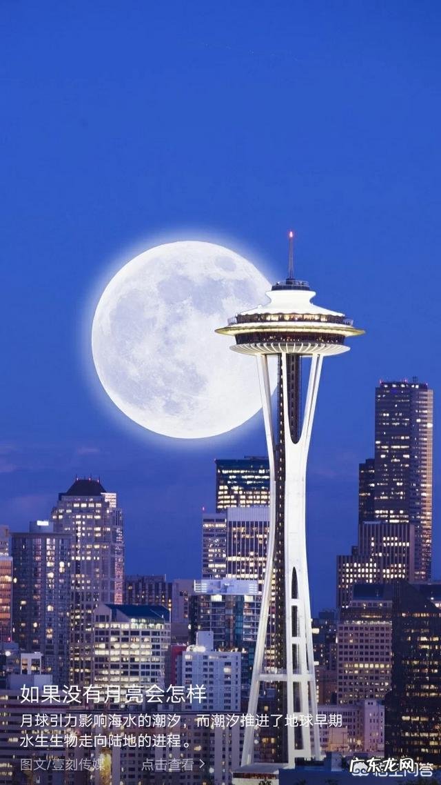 什么样的人是真正受欢迎的人，应该具备哪些品质？