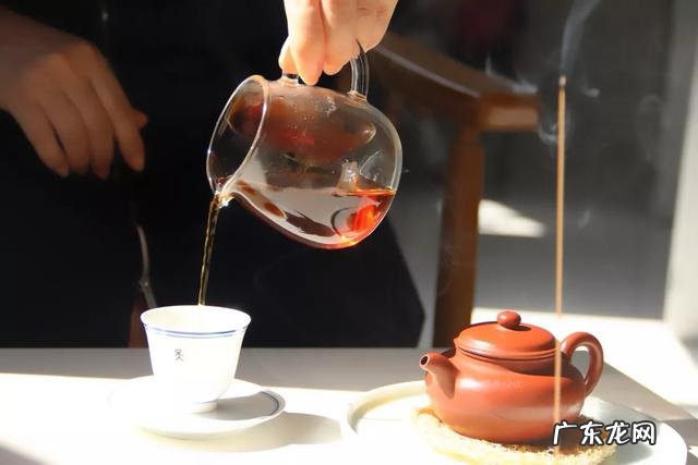 什么茶适合泡功夫茶?