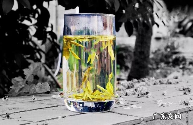 什么茶适合泡功夫茶?