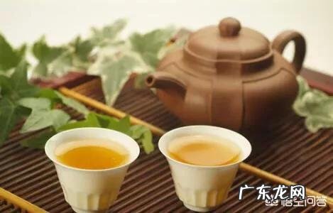什么茶适合泡功夫茶?