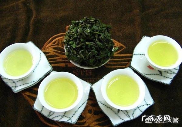 什么茶适合泡功夫茶?