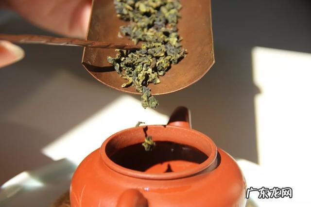 什么茶适合泡功夫茶?