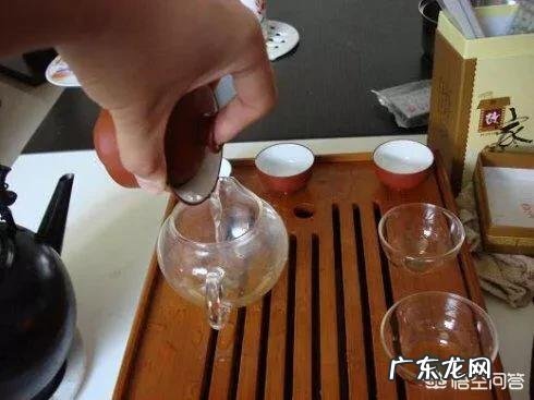 什么茶适合泡功夫茶?