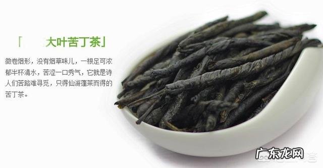 经常喝苦丁茶,对身体有什么好处?