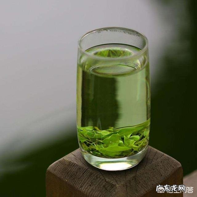 经常喝苦丁茶,对身体有什么好处?