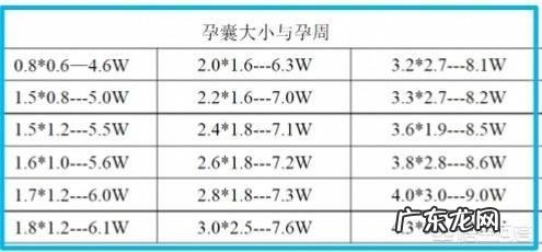胚胎移植的怀孕周期应该怎样计算？