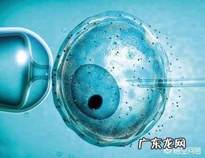 胚胎移植的怀孕周期应该怎样计算?