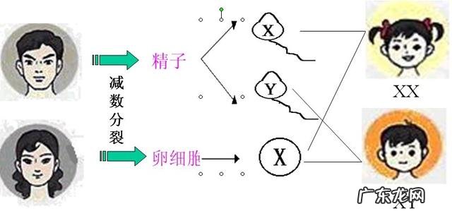 真的有酸性食物和碱性食物的说法吗?