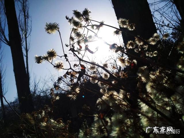 你见过最美的照片是什么样的？