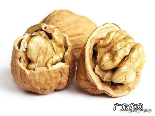 吃核桃对人身体有哪些好处?