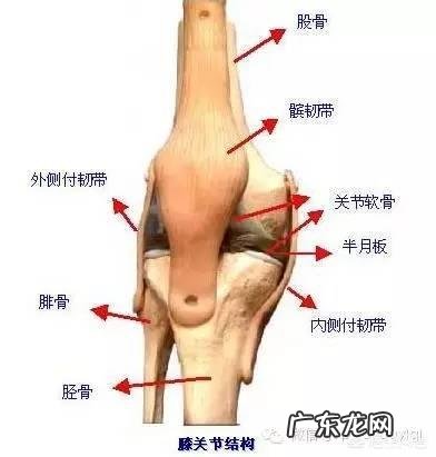 登山时如何有效地保护膝盖?
