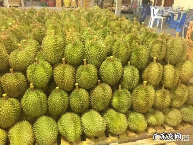 榴莲那么难闻,口感也一般!但为什么那么贵?难道营养价值连城?