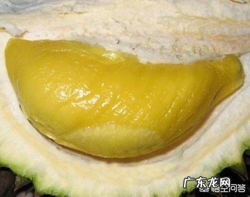榴莲那么难闻,口感也一般!但为什么那么贵?难道营养价值连城?