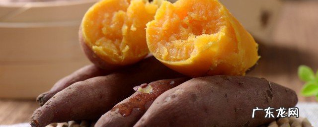 红薯发芽能吃吗有毒吗