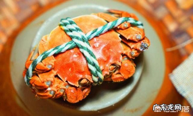 秋风起，蟹膏肥，温一壶酒，抓几只螃蟹，最美不过，你一般吃螃蟹喝什么酒好呢？