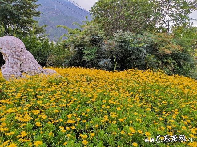 人一定要学会欣赏和赞美同伴的成功。你能做得到吗?
