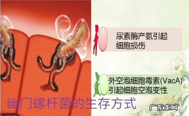 慢性胃炎有哪些症状表现,怎么缓解?