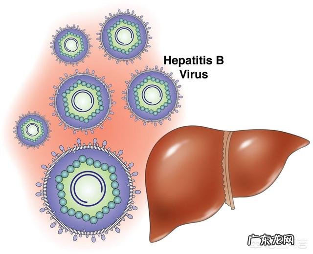 乙肝病毒携带者如果发病会有哪些症状出现？