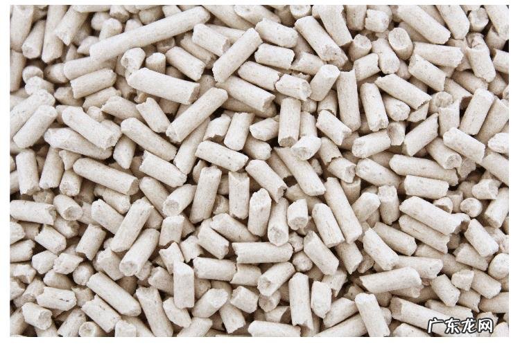 你们的猫都是怎么养的?