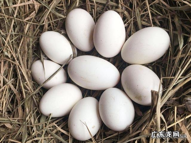 孕妇吃咸鹅蛋有什么好处?