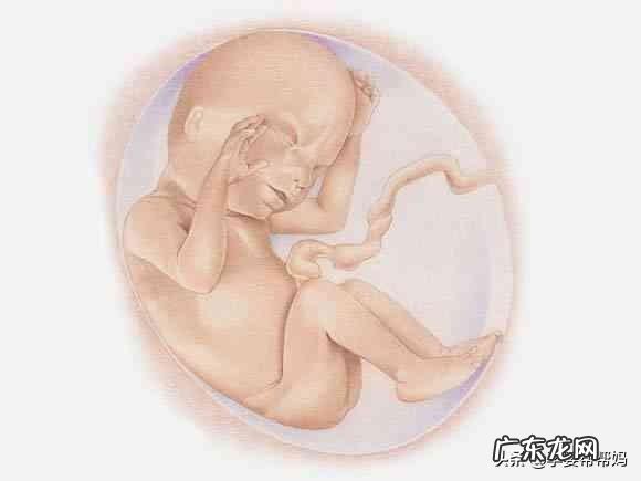 孕期几个月是宝宝身高发育的最佳时间?要注意什么?