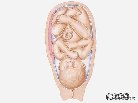 孕期几个月是宝宝身高发育的最佳时间?要注意什么?