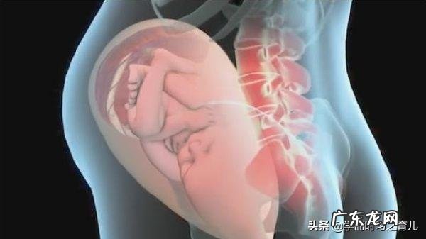 孕期几个月是宝宝身高发育的最佳时间?要注意什么?