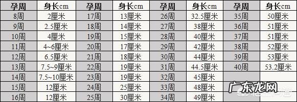 孕期几个月是宝宝身高发育的最佳时间?要注意什么?