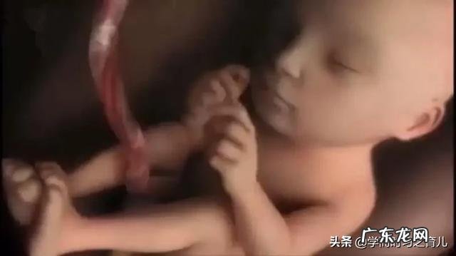 孕期几个月是宝宝身高发育的最佳时间?要注意什么?