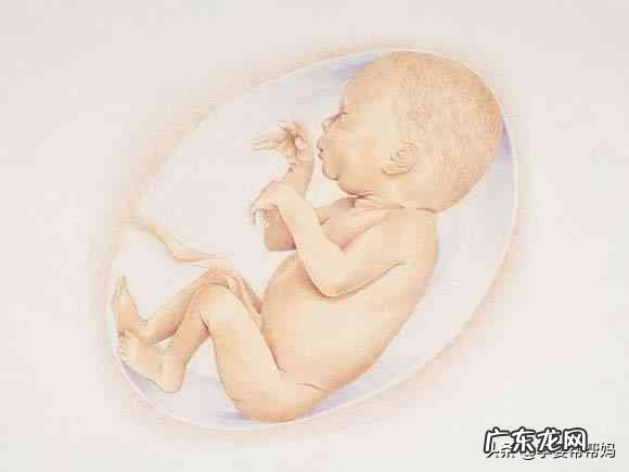 孕期几个月是宝宝身高发育的最佳时间?要注意什么?